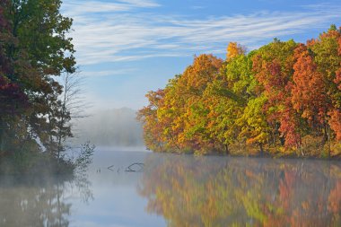 sonbahar shoreline kartal Gölü