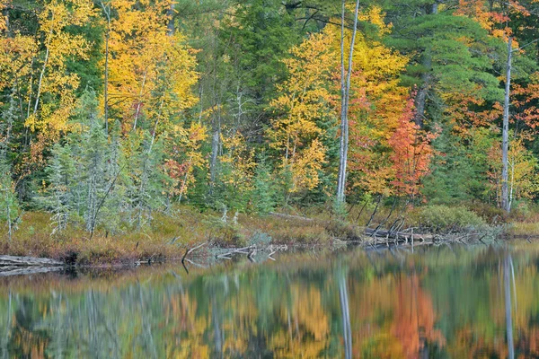 Podzim břeh jezera irwin — Stock fotografie