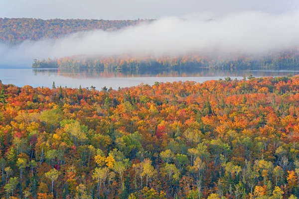 Herfst bos en lake medora — Stockfoto