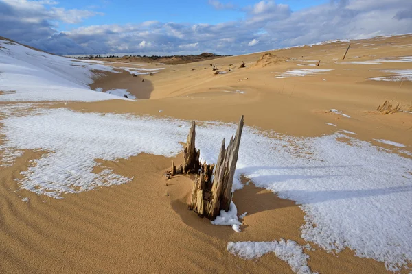 Dunas de arena de lago de plata —  Fotos de Stock