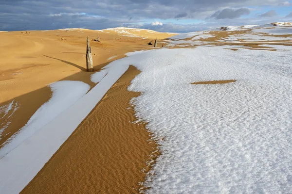 Stříbrné jezero písečné duny — Stock fotografie