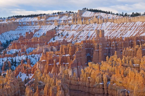Zima, Parku Narodowego bryce canyon — Zdjęcie stockowe