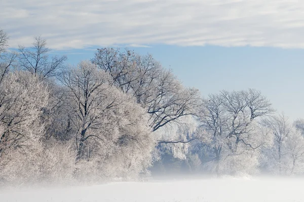 Vinterlandskap av frostat — Stockfoto