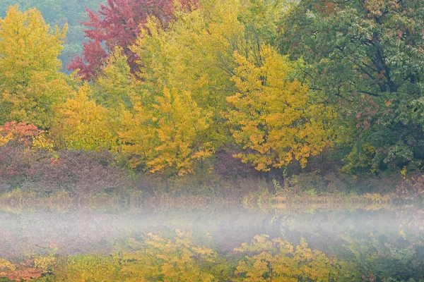 Outono Hall Lake em névoa — Fotografia de Stock