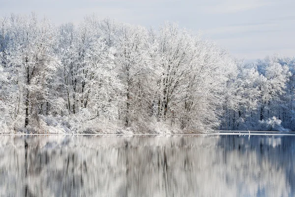 Zimní odrazy jackson hole jezero — Stock fotografie