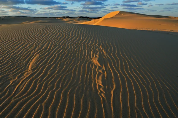 Silver Lake Sand Dunes — Stock Photo, Image
