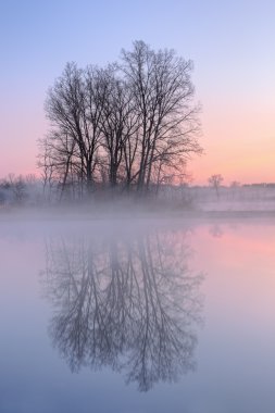 Dawn, jackson hole Gölü