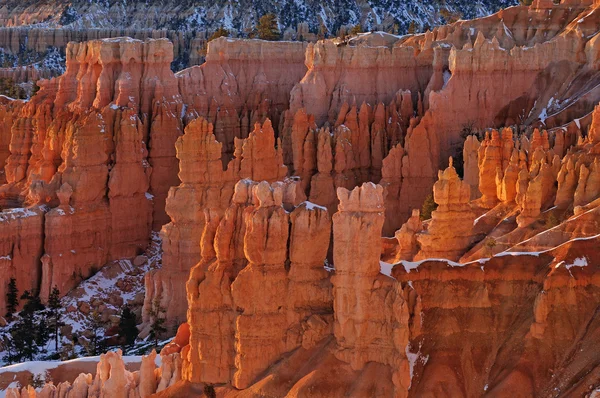 kış, bryce canyon Milli Parkı