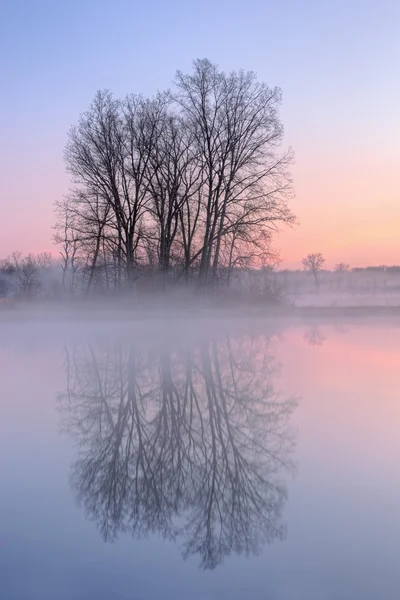 Dawn, jackson hole Gölü