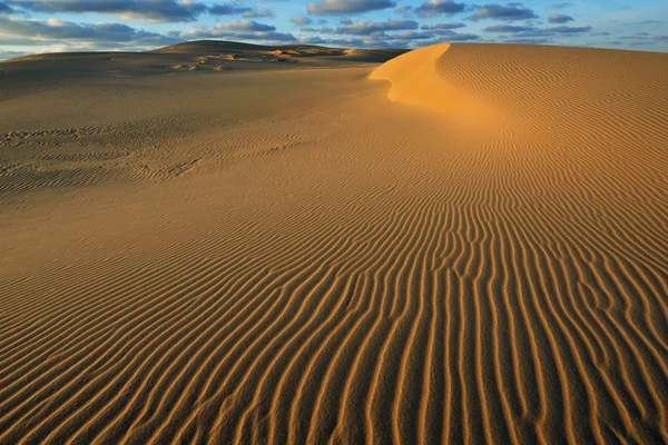 Срібло озеро піщані дюни — стокове фото