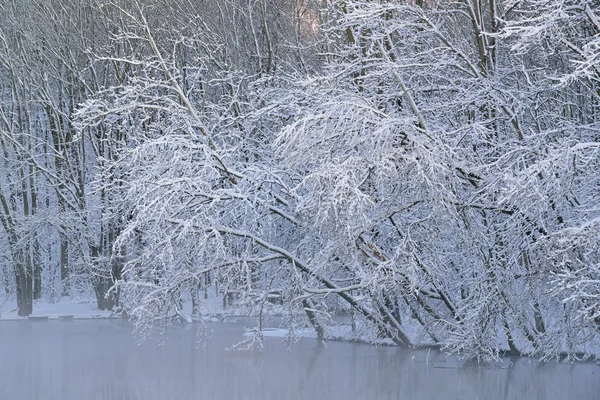 Winter Shoreline Kalamazoo River — Stock Photo, Image