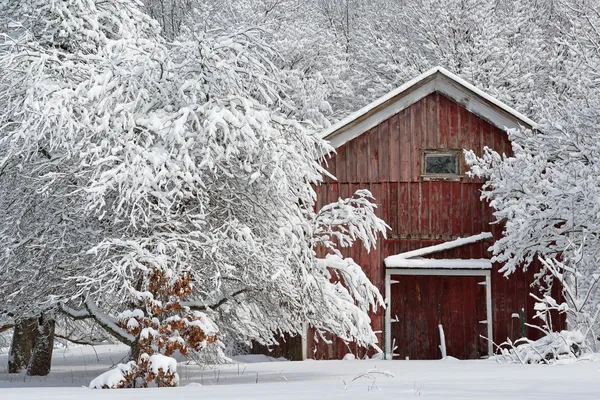 Zimní les a červená stodola Stock Snímky