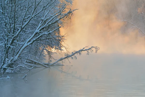 Invierno amanecer río Kalamazoo en la niebla — Foto de Stock