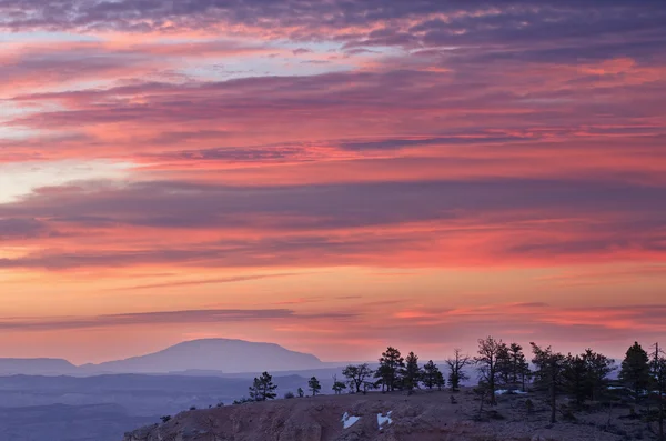 Twilight, bryce canyon nationalpark — Stockfoto