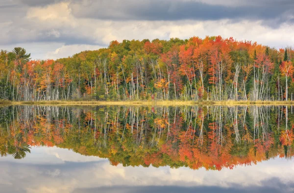 Outono Conselho Lago — Fotografia de Stock