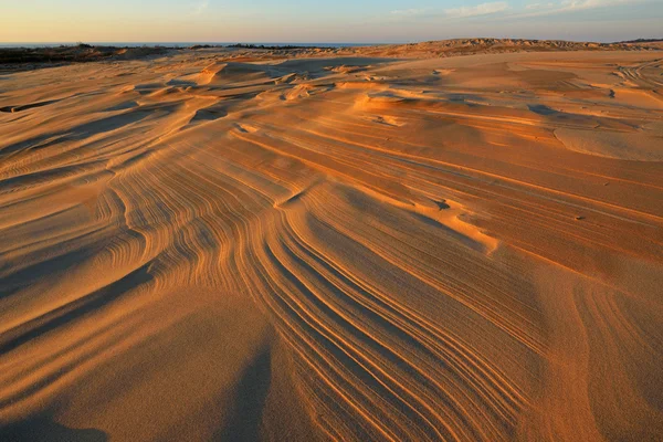 Silbersee-Sanddünen — Stockfoto