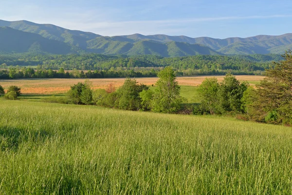 Άνοιξη, cades cove, μεγάλη καπνιστή βουνά του εθνικού πάρκου — Φωτογραφία Αρχείου