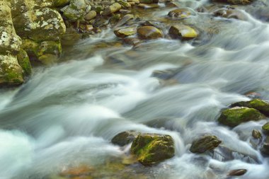 Little River Rapids