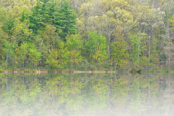 春には、霧の中で長い湖 — ストック写真