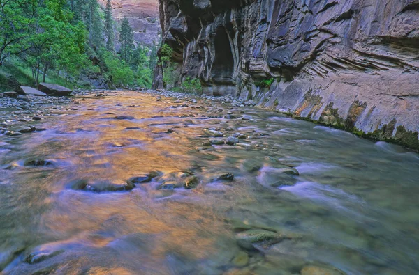 Τοπίο Virgin River Narrows Κατέλαβε Κίνηση Θολούρα Zion National Park — Φωτογραφία Αρχείου