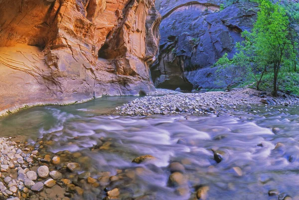 Пейзаж Virgin River Narrows Захвачен Размытием Движения Национальный Парк Зайон — стоковое фото