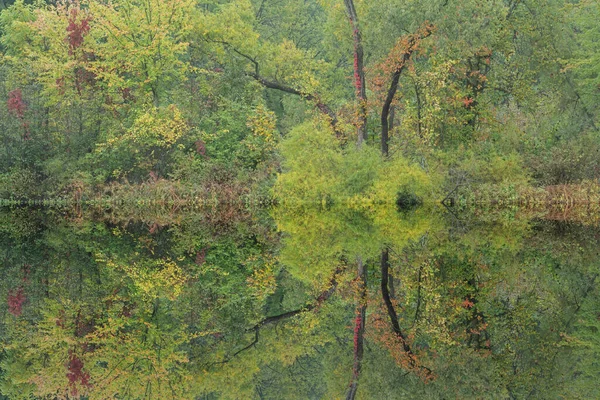 Осенний Пейзаж Береговой Линии Озеро Рассвете Зеркальными Отражениями Спокойной Воде — стоковое фото