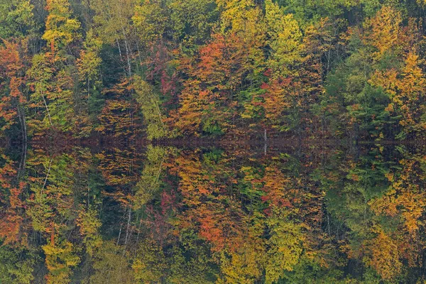 位于密歇根州Usa的Hiawatha国家森林 Moccasin湖畔的秋天风景 平静的水中映照出了自己的倒影 — 图库照片