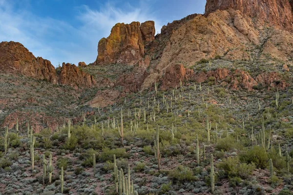 Paysage Printanier Lever Soleil Des Montagnes Superstition Apache Trail Tonto — Photo