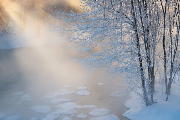 Paesaggio Con Raggi Sole Alberi Innevati All Alba Lungo Nebbioso — Foto Stock