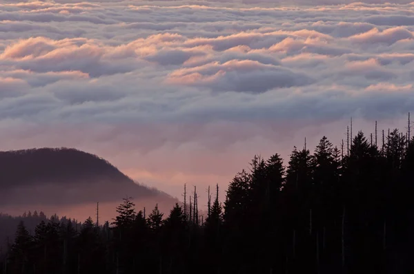 Landscape Sunset Clingman Dome Great Smoky Mountains National Park Tennessee — Stock Photo, Image