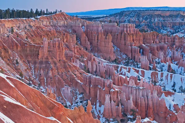 Winterlandschaft Morgengrauen Der Hoodoos Des Bryce Canyon National Park Utah — Stockfoto