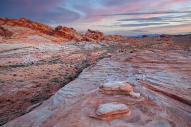 Şafak vakti Rocky Çölü manzarası, Ateş Vadisi Parkı, Nevada, ABD