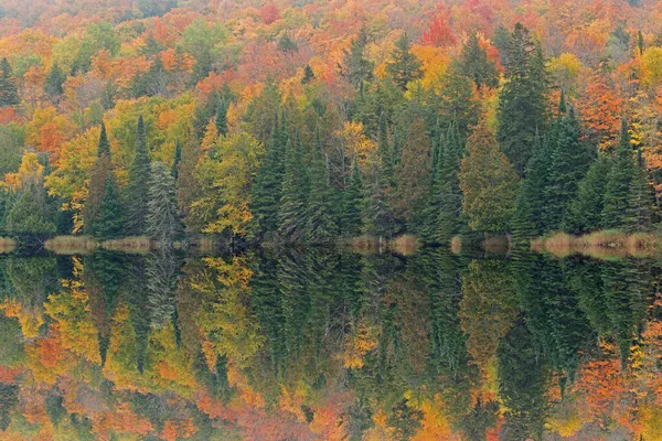 Herfst Landschap Van Kustlijn Van Alberta Lake Met Spiegelende Reflecties — Stockfoto