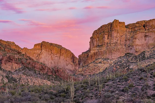 Paesaggio Primaverile All Alba Delle Montagne Della Superstizione Apache Trail — Foto Stock