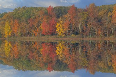 Derin Gölü kıyı şeridi sakin sularda yansıyan yansımalarla sonbahar manzarası, Yankee Springs State Park, Michigan, ABD