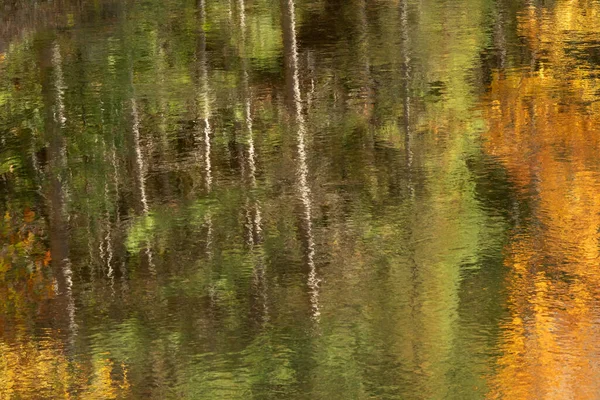 Абстрактний Осінній Пейзаж Відбиття Індійській Річці Національний Ліс Хіавата Мічиганський — стокове фото