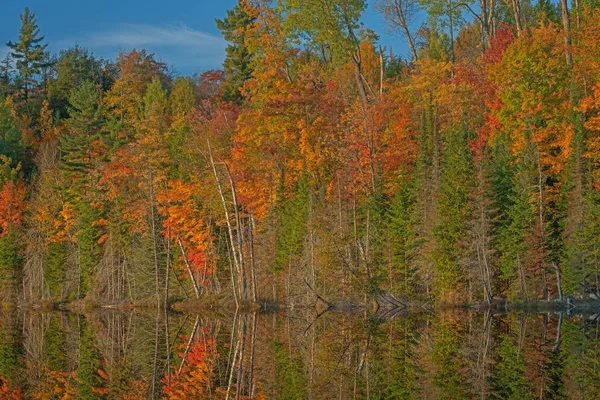 Herbstlandschaft Des Scout Lake Mit Verspiegelten Reflexen Bunten Laubes Ruhigem — Stockfoto