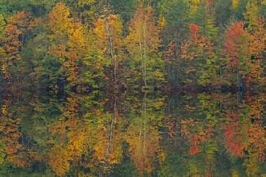 Pete Gölü 'nün sonbahar manzarası sakin sularda yansıyan yansımalarla, Hiawatha Ulusal Ormanı, Michigan' ın Yukarı Yarımadası, ABD