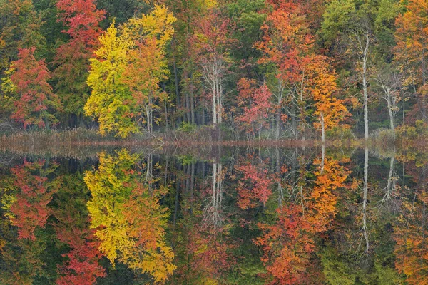 美国密歇根州立公园 深湖海岸线的秋景 平静的水中映照出倒影 — 图库照片