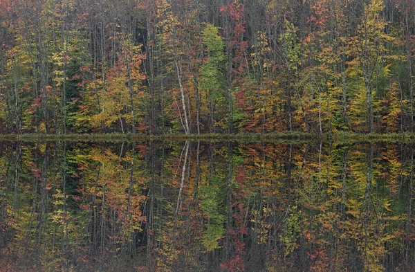 Herbstlandschaft Des Thornton Lake Mit Spiegelnden Spiegelungen Ruhigem Wasser Hiawatha — Stockfoto