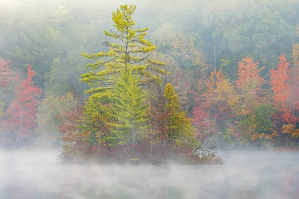 Foggy Paysage Automnal Rive Île Hall Lake Yankee Springs State — Photo