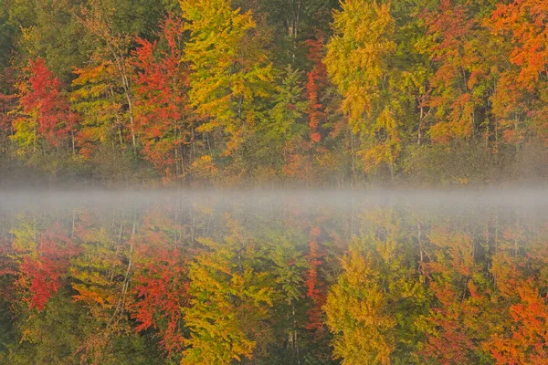 美国密歇根州扬基泉州立公园 麦克唐纳湖畔多雾的秋天风景 平静的水面映照出了这一景象 — 图库照片