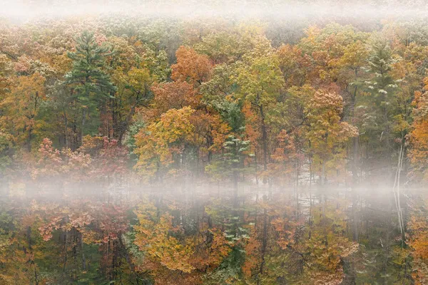 Nebelige Herbstlandschaft Ufer Des Hall Lake Mit Schnee Und Spiegelungen — Stockfoto