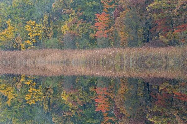 Paesaggio Autunnale Della Costa Del Deep Lake Con Riflessi Specchiati — Foto Stock