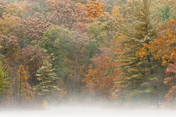 Foggy Autumn Landscape Shoreline Hall Lake Flocked Snow Yankee Springs — Stock Photo, Image