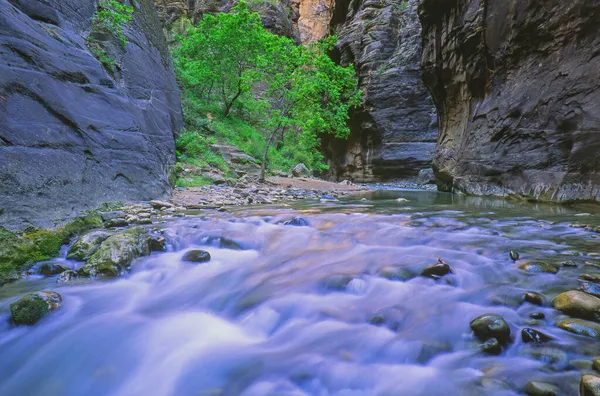 Paysage Virgin River Narrows Capturé Avec Flou Parc National Zion — Photo