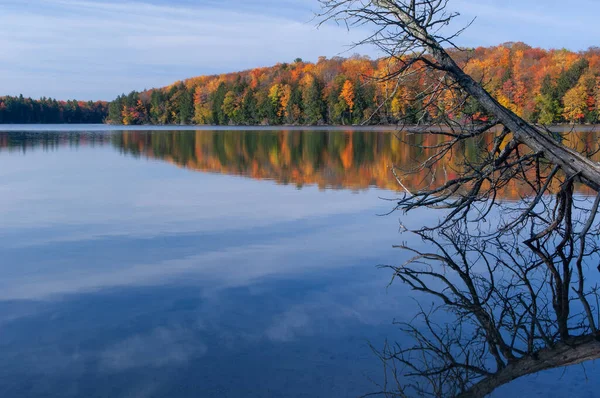 穏やかな水の中に鏡のような反射を持つピートの湖の日の出の秋の風景 ヒアワサ国立の森 ミシガン州のアッパー半島 — ストック写真