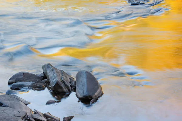 Presque Adası Nehri Nin Akıntısı Sakin Sulardaki Güneşli Yaprakların Yansımasıyla — Stok fotoğraf