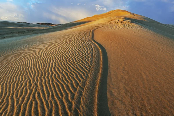 Landschaft Bei Sonnenaufgang Der Silbersee Sanddünen Silver Lake State Park — Stockfoto