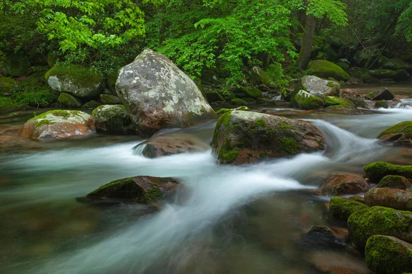 Frühlingslandschaft Von Big Creek Mit Bewegungsunschärfe Eingefangen Great Smoky Mountains — Stockfoto